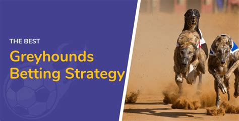 best greyhound betting strategy|The Ultimate Guide to Greyhound Betting: Tips and Strategies for .